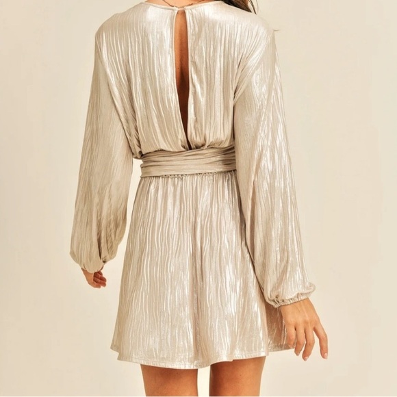 NWT Reset by Jane Debbie Faux Wrap Mini Dress in Grey/Silver Sz L - Picture 3 of 9